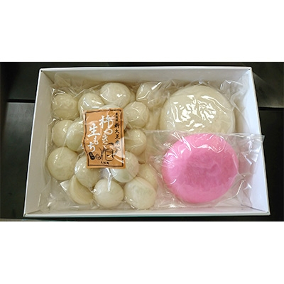 
正月用お鏡餅5合紅白　丸もち1Kg【1056042】
