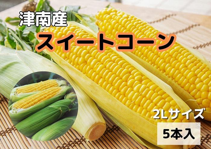 【新潟県 津南町産】朝採りスイートコーン 2Lサイズ 5本（1本約400g）