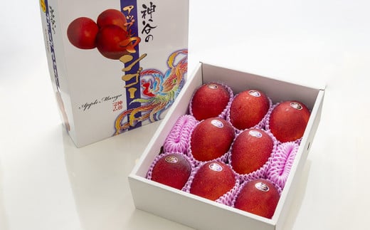 【化粧箱入】【先行受付・2026年発送】神谷ファームのマンゴー（極）約4Kg - 先行予約 沖縄県産 産地直送 南国フルーツ 旬の味覚 季節の果物 贈り物 ギフト 沖縄県 八重瀬町