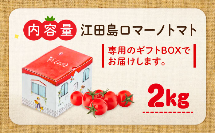 食の安全を守る！自然を活用した低農薬栽培！江田島ロマーノ トマト 2kg 江田島市/有限会社グリーンファーム沖美[XAB005]