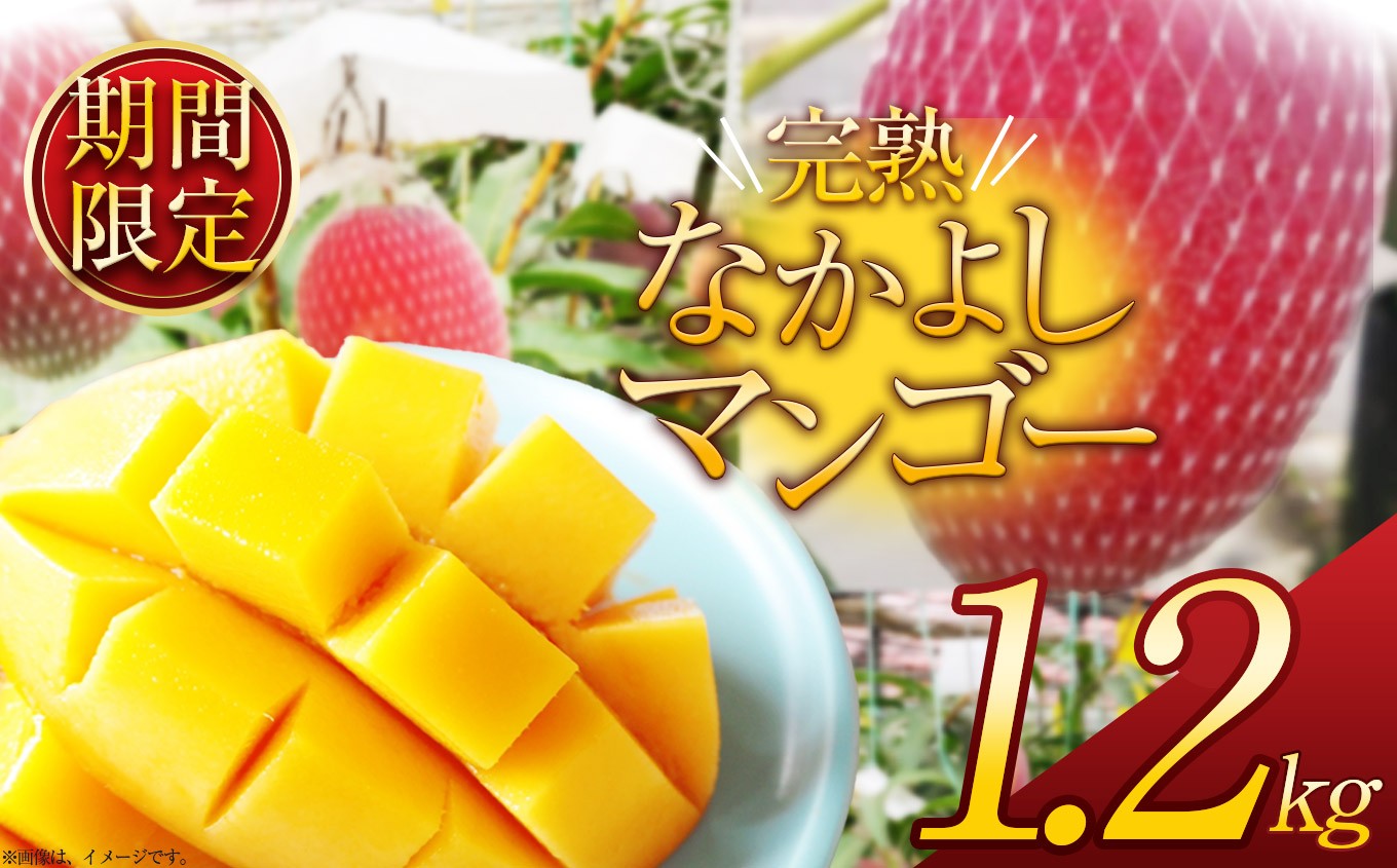 
                  【期間限定】完熟なかよし マンゴー 約1.2kg | トランスイート 四季島 TRAIN SUITE 四季島 電車 果物 甘い 完熟 マンゴー 濃厚 デザート 数量限定 プレゼント 栃木県 那珂川町 送料無料
                