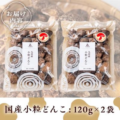 ふるさと納税 曽於市 国産小粒どんこ (120g×2袋) |  | 01