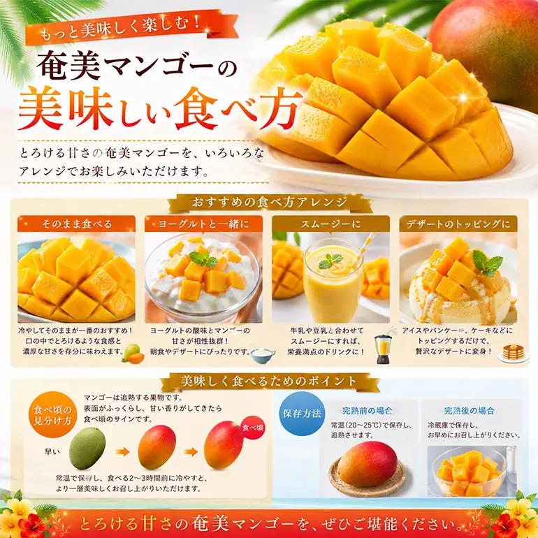 【2026年 観光雑誌付き】奄美産マンゴー 優品・美玉2kg とろける甘さの黄金果肉 樹上完熟 A052-021