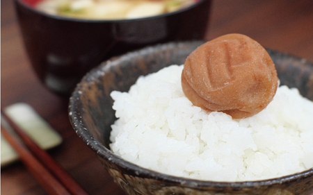 梅干し 無添加 完熟南高梅 1.25kg 塩分約20％ 無添加 サイズ混合 ご家庭用 【2025年9月より発送予定】【njb647-1】