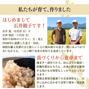 コシヒカリ 玄米 5kg 弥彦村 石井農園  | コシヒカリ 新潟県 令和7年産