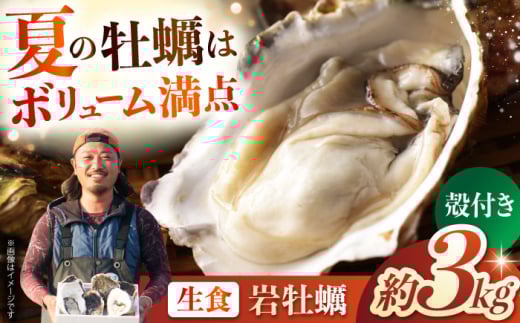 【先行予約】＜5～8月お届け＞生食用 殻付き 雲仙夏牡蠣 岩ガキ 長崎産（3kg） 長崎県/株式会社天洋丸 [42ALAC003]