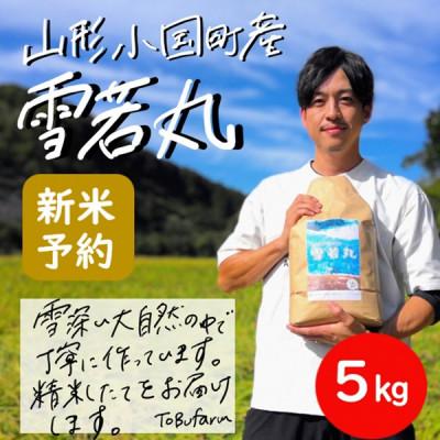 ふるさと納税 小国町 令和8年産新米先行予約　山形県小国町産　雪若丸　精米5kg　東部開発