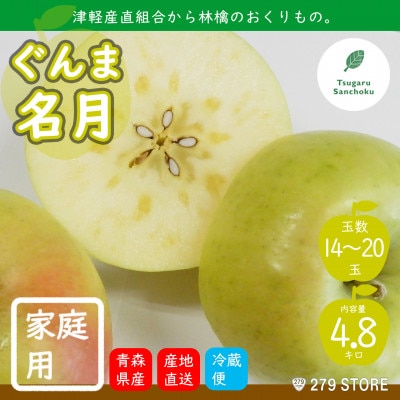 10月下旬頃発送 ぐんま名月 家庭用 5キロ箱 4.8kg 14～20玉 津軽りんご 産地直送【配送不可地域：離島】