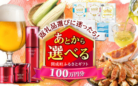 【あとから選べる】開成町ふるさとギフト 100万円分 あとから寄附 選べる寄附 ティッシュ トイレットペーパー 化粧品 餃子 体験 お茶 日本酒 定期便 神奈川 開成町[BDZZ011]