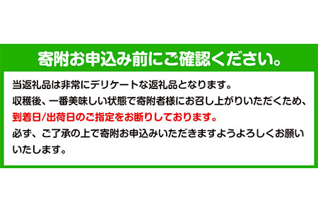 観音山清見 2kg (約10玉-14玉前後) 有限会社柑香園《2024年2月中旬-4月上旬頃より順次出荷》和歌山県 紀の川市 フルーツ 果物 柑橘 みかん オレンジ 清見