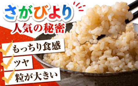【全3回定期便】特別栽培米 さがびより 玄米 10kg【だいちの家】特A米 特A評価[HAG019]