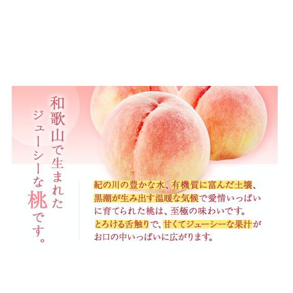 【産直・人気の特産品】和歌山の桃　約4kg・秀品◇ ｜ モモ 国産 フルーツ お取り寄せ ギフト
※北海道・沖縄・離島への配送不可
※2025年6月下旬～8月上旬頃に順次発送予定