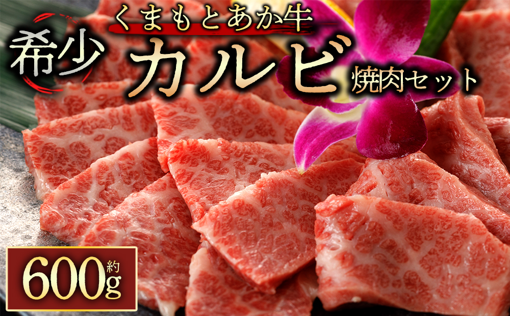 くまもとあか牛 カルビ 焼肉用600g 阿蘇牧場 あか牛 和牛 肉 国産 牛肉 ブランド牛 カルビ 人気 美味しい 焼肉 希少 赤身 熊本 阿蘇