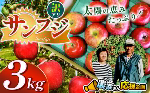 【先行受付：11月発送】訳アリ　サンふじ　3㎏　（9～12玉） ｜ サンふじ さんふじ 林檎 りんご 長野県 松本市 果物 フルーツ ふるさと納税