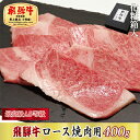 【ふるさと納税】【化粧箱入り・最高級A5等級】飛騨牛ロース焼肉用400g　【お肉・牛肉・ロース・焼肉・バーベキュー】