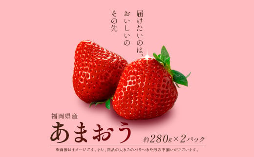 【先行予約】 福岡県産 あまおう 約280g×2パック 約560g 冷蔵 小分け いちご 苺 イチゴ フルーツ 果物 スイーツ くだもの 冬 春 旬 福岡 九州 福岡県 川崎町 数量限定 期間限定 【1月上旬より順次出荷】