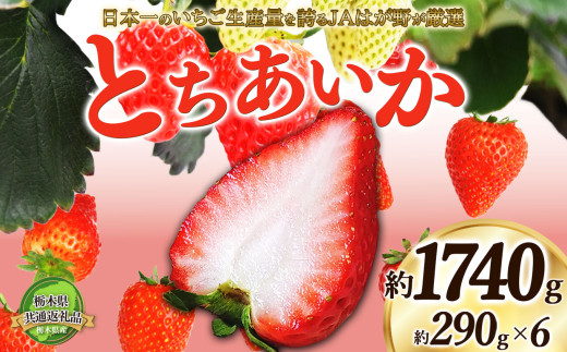 【2026年先行予約】【栃木県共通返礼品】日本一のいちご生産量を誇るJAはが野が厳選とちあいか平パック6P | 送料無料 いちご フルーツ 甘い ジューシー かき氷 苺 ｲﾁｺﾞ ハート ハート型 ﾊｰﾄ 断面 果物 栃木県 下野市