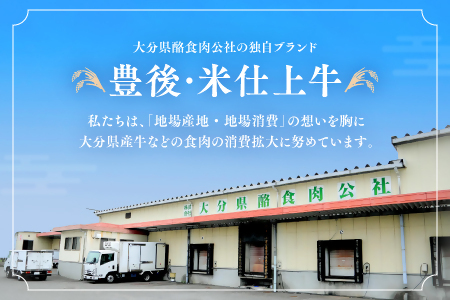 E-37 豊後・米仕上牛トモサンカクとイチボの希少部位焼肉セット（600g）