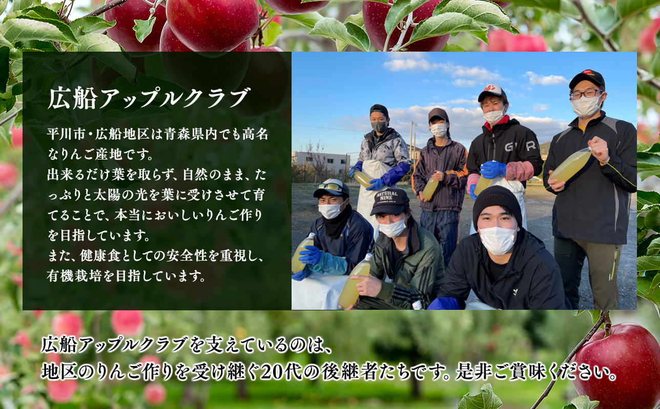 年明け 贈答規格 広船のサンふじ 約3kg「特A」【広船アップルクラブ・平川市広船産・青森りんご】