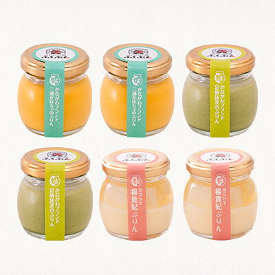 【ふるさと納税】かながわ味めぐりぷりんセット【配送不可地域：離島】【1676923】