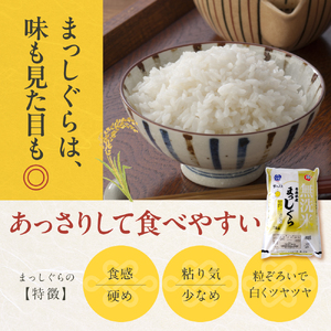 【5月前半発送】令和7年産 無洗米 5kg まっしぐら 新米 5キロ 青森県産
