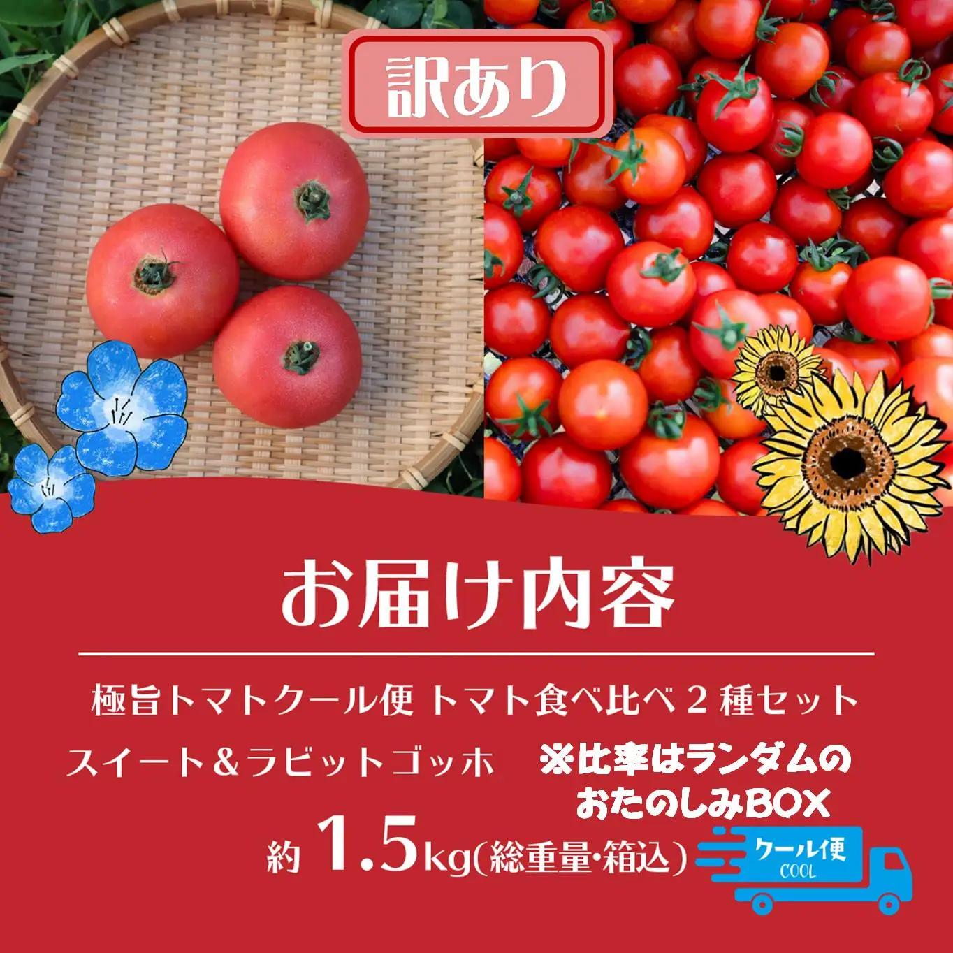 【訳あり】極旨トマトクール便 食べ比べ2種セット 北海道壮瞥町産 スイート＆ラビットゴッホ 1.5kg 中玉トマト SBTAJ040