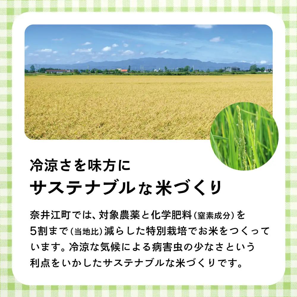 【定期便12回】北海道奈井江町　特別栽培米　ななつぼし　15kg