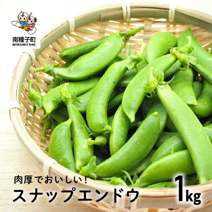 【ふるさと納税】【先行予約】 種子島 スナップエンドウ 人気 種子島産 返礼品 南種子町 鹿児島 かごしま 【のっちーよ種子島】