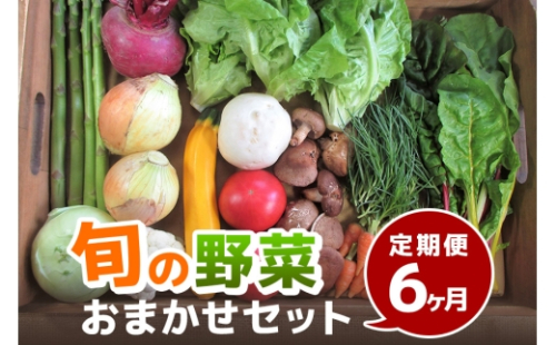 [No.5895-0455]旬の野菜・定期便（6か月）【配達不可：北海道・沖縄・離島】