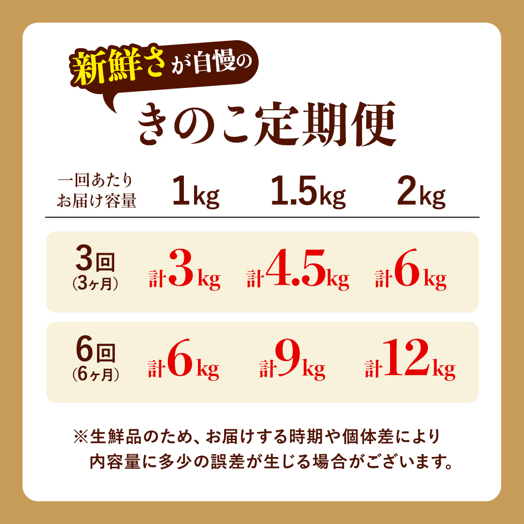 【 6ヶ月 隔月定期便 】 きのこ の 詰め合わせ Mサイズ 約1.5k