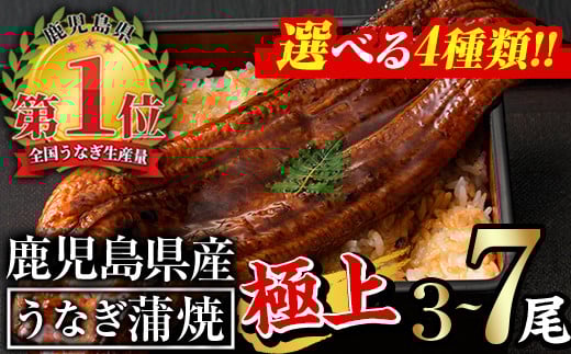 
            ＜選べるセット内容！＞無投薬！鹿児島県産うなぎ蒲焼＜極上＞(計560g以上～合計1.8kg以上・185g以上×3尾～7尾 / きざみ50g×2袋～10袋) タレ・山椒付き 鰻 ウナギ 国産【西日本養鰻】
          