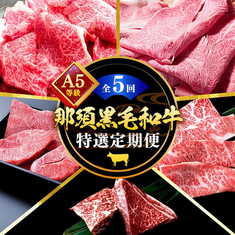 【ふるさと納税】《定期便5回》A5等級 那須黒毛和牛 特選定期便 ステーキ しゃぶしゃぶ カルビ もも肩肉 牛小間 〔I-14〕| 牛肉 国産 赤身 那須和牛 黒毛和牛 那須黒毛和牛 とちぎ和牛 栃木和牛 ブランド牛 すき焼き しゃぶしゃぶ 焼肉 ステーキ 夜ご飯 夜ごはん 晩ご飯 鶏春