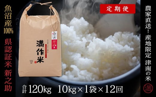 【 定期便 12ヶ月 】 米 10kg × 12回 令和7年産 魚沼産 新之助 県認証米 特別栽培米 | しんのすけ お米 おこめ コメ こめ 白米 精米 おすすめ 新潟県 津南町