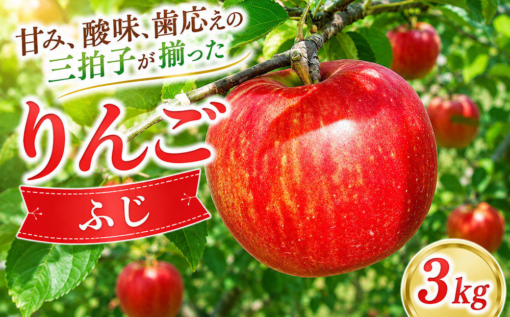 りんご 約3kg（ふじ） ｜JA信州うえだ農業協同組合 長野県 東御市産 ※11月下旬～12月中旬頃に順次発送予定