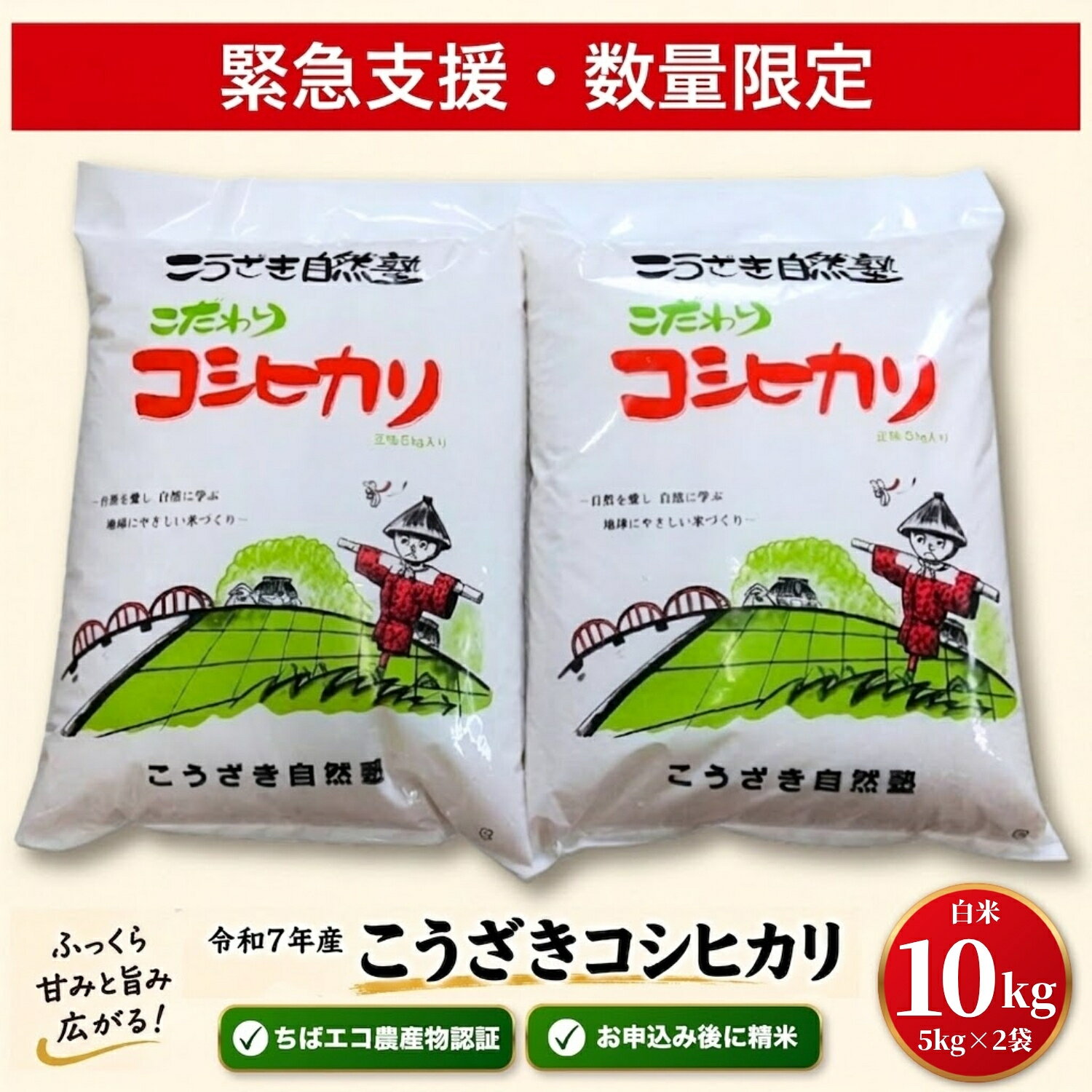 【ふるさと納税】【緊急支援・数量限定】米 10kg コシヒカリ 令和7年産 白米 5kg×2袋 千葉県神崎町産 ちばエコ農産物認証 単一原料米 検査1等米注文後精米 栽培期間中化学肥料不使用 こうざき自然塾 お米 こめ 送料無料 [014-a037]