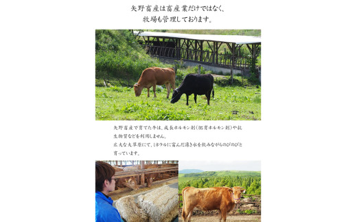 【矢野畜産】産地直送 くまもと 国産 熊本 阿蘇 和牛 あか牛 褐毛和種 あかげわしゅ ロース 400g 赤身 サシ ステーキ ビフテキ 高品質 矢野畜産 にくやの 老舗 おうちごはん おうち時間 通