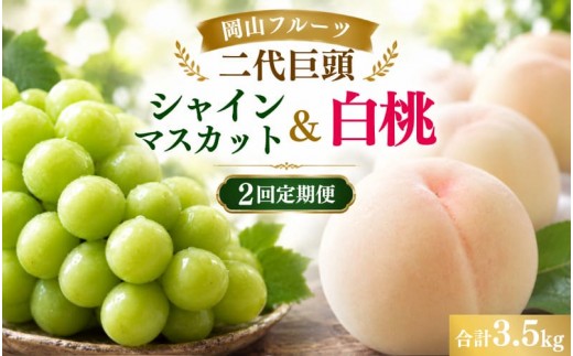 
                  【2027年先行予約】岡山フルーツ二代巨頭 シャインマスカット＆桃 2回定期便 合計3.5kg(白桃2kg/シャインマスカット1.5kg) 秀品 詰合せ もも 白桃 ぶどう シャインマスカット 葡萄 果物 定期便 フルーツ 食べ比べ セット ギフト 岡山県【hnds-tkb001】
                