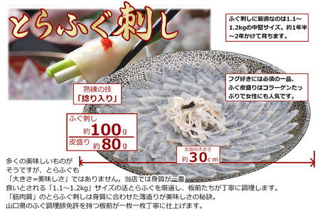 (10048)お中元ギフト【みすず】超冷 とらふぐ刺身4人前 約100g ふぐ皮湯引き ポン酢 赤おろし 風呂敷 専用化粧箱 プレゼント 贈り物 季節限定 きらく 長門市