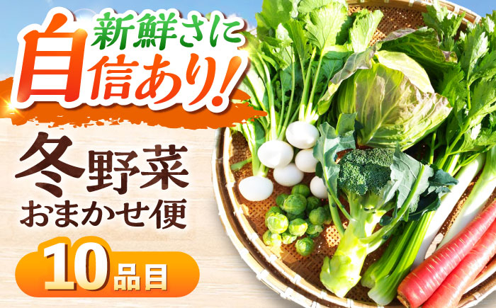 
【11月中旬から順次発送】冬野菜セット おまかせ10種 寒い冬の温かな料理に！野菜セット 旬 新鮮 鍋 おうちごはん ＼レビューキャンペーン中／愛媛県大洲市/かとう旬菜畑 [AGCW001]
