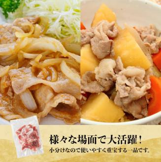 宮崎県産放牧豚 こま切れ 10袋 計 2.5kg　豚肉[E8101]