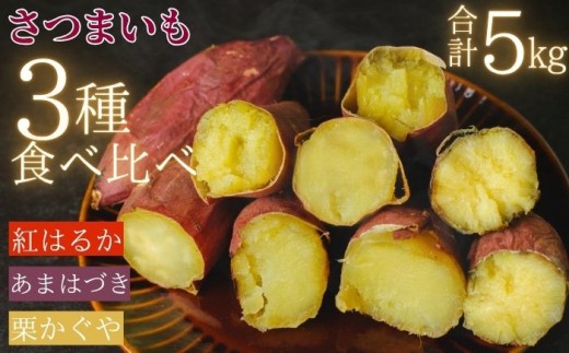 【 先行予約 10月 発送】 滝沢産 さつまいも セット 5kg 紅はるか あまはづき 栗かぐや 【駿河農園ベジスル】 サツマイモ さつま芋 薩摩芋 5キロ ５キロ ５ｋｇ 5000g M L LL 3L やさい 野菜 冬野菜 秋野菜 風物詩 定番 旬 焼き芋 やきいも 焼芋 いも 芋 イモ おやつ 人気 国産 岩手県産 産地直送 予約 おすすめ オススメ