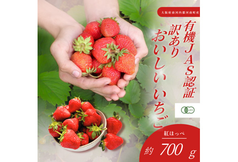 No.406 訳あり　おいしいいちご　有機JAS認証いちご　700g　36粒