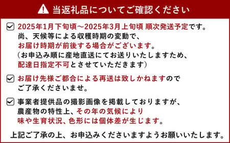 【先行予約】宇城市産 デコみかん 約11kg【2025年1月下旬から3月上旬発送】不知火 形不揃い 柑橘 フルーツ