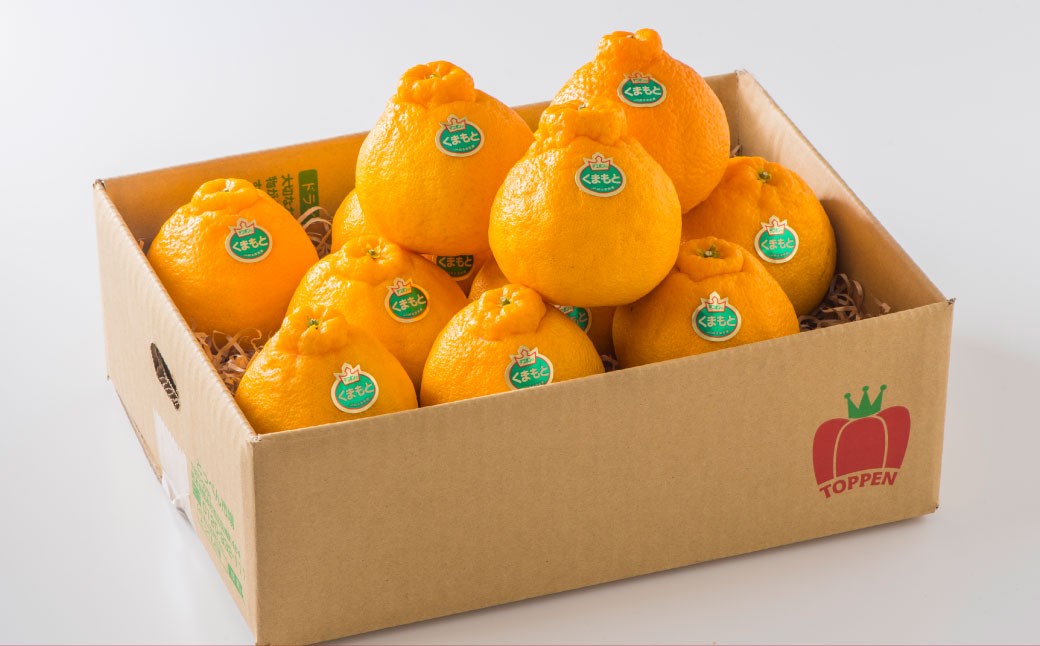 熊本県産 デコポン 5kg