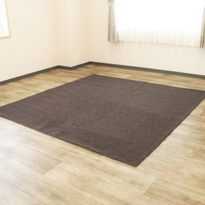 Bigループパイルカーペット【PET-6000】200×200 ブラウン [1503]