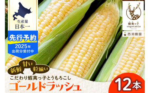 【2025年先行受付】朝採りをお届け！ 北海道十勝芽室町　蝦夷っ子とうもろこし ゴールドラッシュ 12本 me076-009c-25