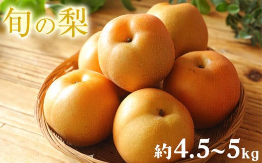 
            梨 先行予約 旬の梨 和梨（幸水 豊水 あきづき 甘太 新興 晩三吉 ）約 4.5kg - 5kg フルーツ 果物 梨 荒尾市産 フレッシュフーズ 《7月中旬-11月中旬頃出荷》なし 果物 新鮮 【日付指定不可】 
          