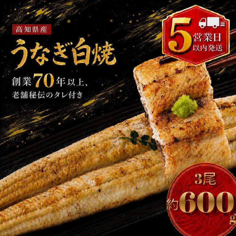 【ふるさと納税】 【スピード発送】 高知県産 うなぎ 白焼 3尾 | 国産 日本産 うな重 鰻 ウナギ 有頭 白焼き しらやき 土用丑の日 土用の丑の日 丑の日 魚 高級 贅沢 特別 老舗 釜めし初音 タレ付き 贈答 冷凍 ギフト お祝い 人気 おすすめ 湯煎 簡単 高知県 南国市