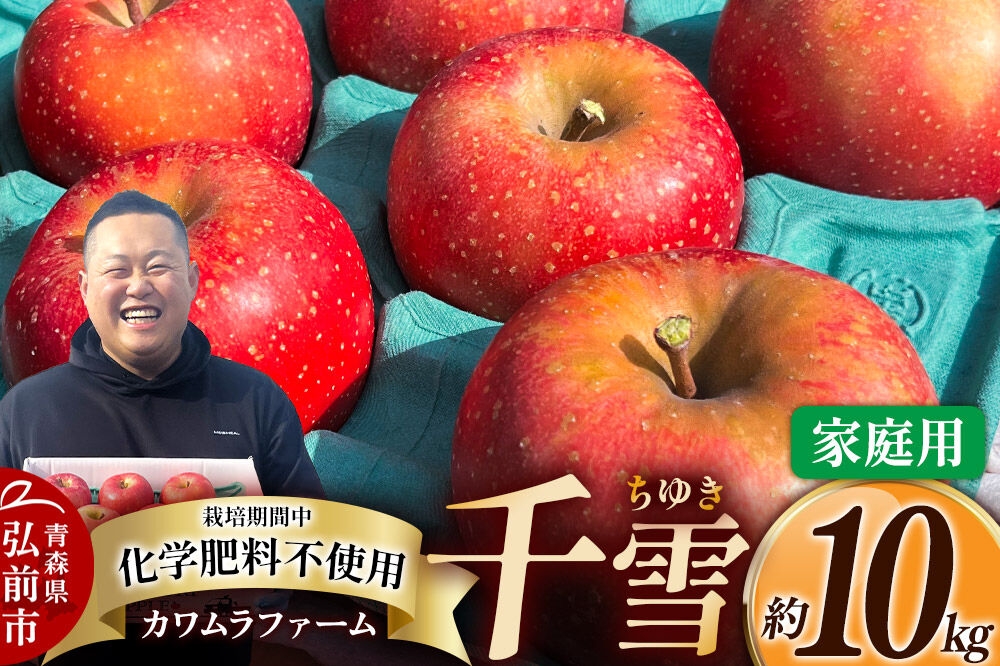 
                  【寄附金額見直しました】【26年10月下旬～発送】りんご 千雪 約10kg カワムラファーム【家庭用】青森 果物 フルーツ 林檎 リンゴ くだもの [先行受付 アップル おいしい ちゆき 果実 果物 赤色 美味 林檎 弘前市]
                