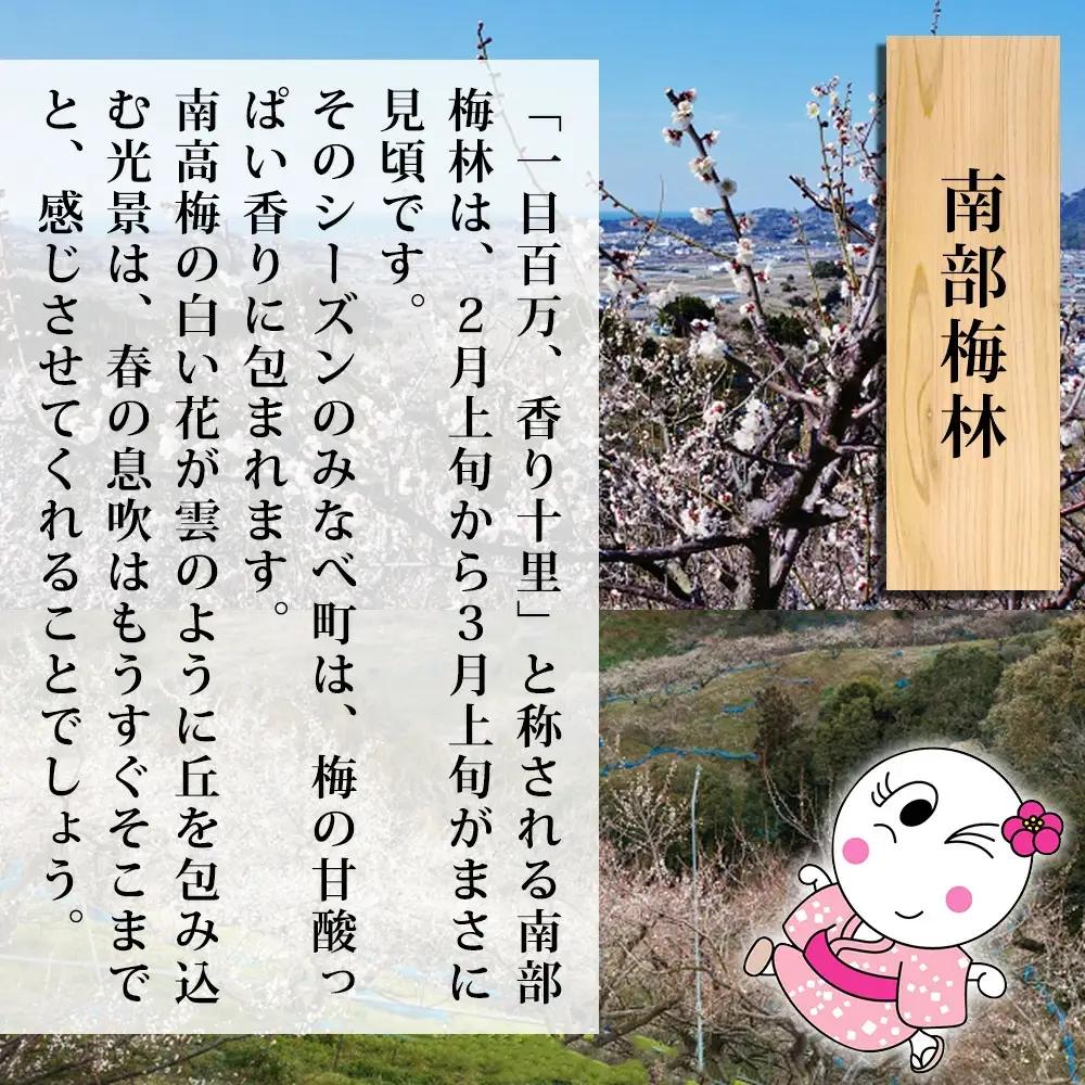 紀州はちみつ小町 700g【sekifz002B】